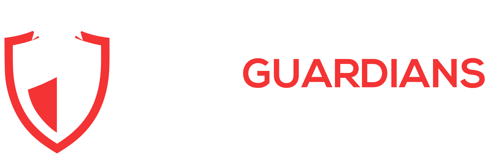 Texas Data Guardians